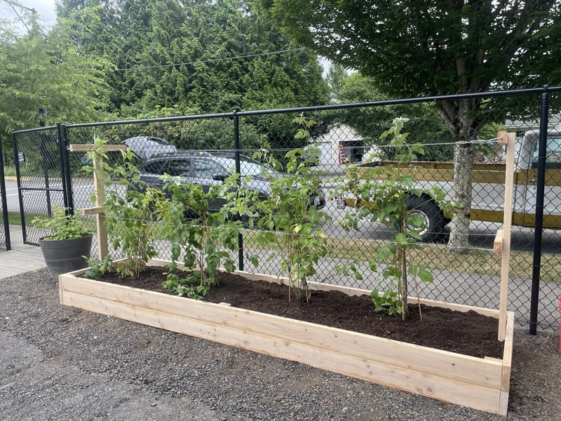Custom Raspberry Trellis